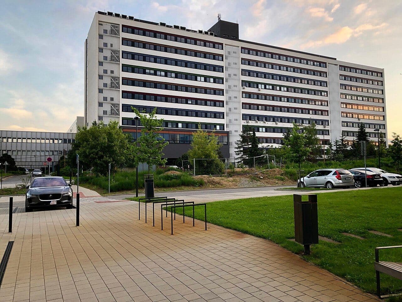 Медицинский факультет — 1