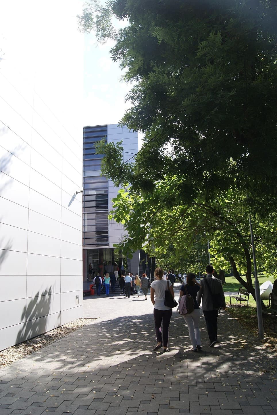 Faculty of Law — 5