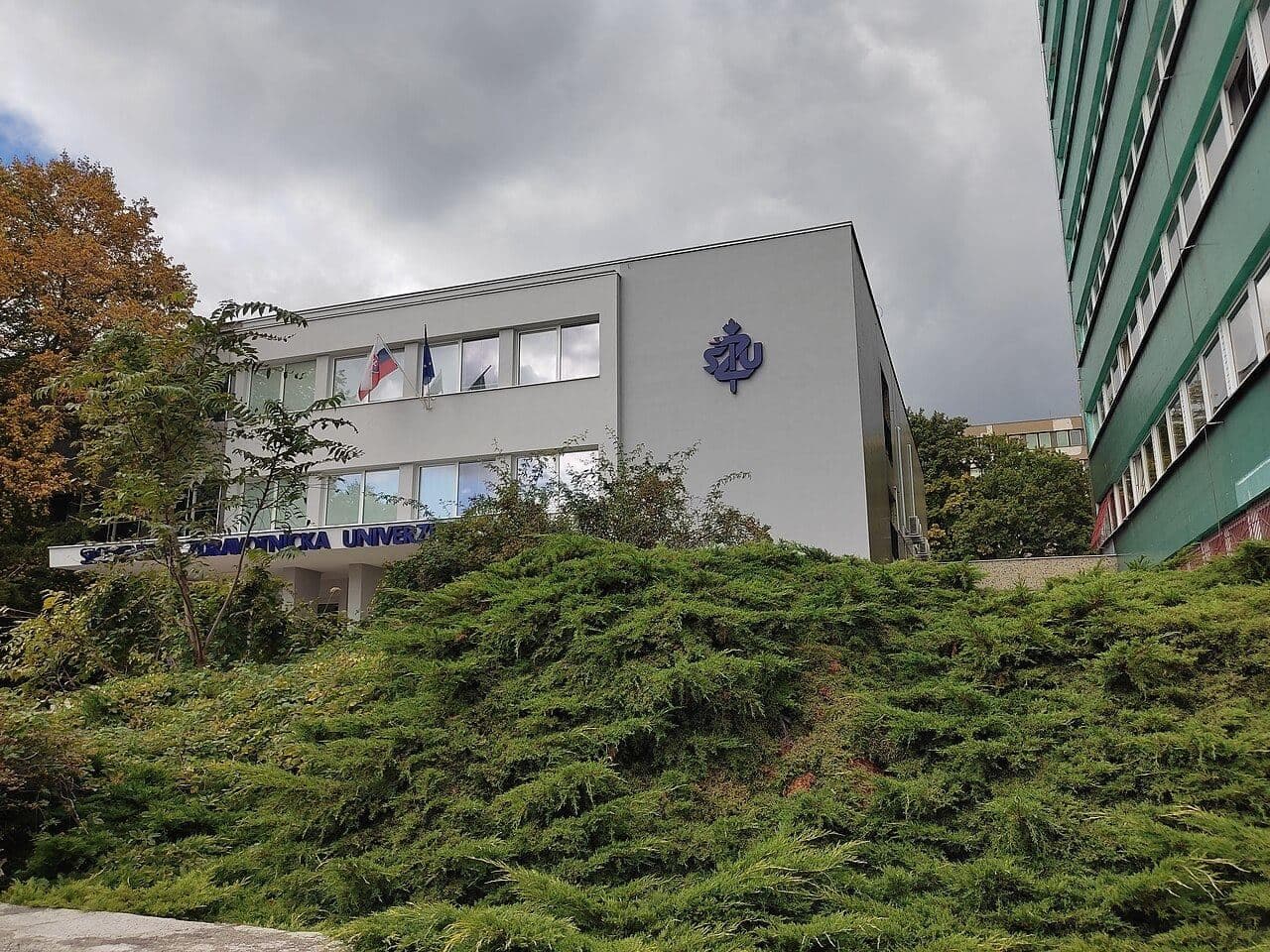 Faculty of Nursing and Medical Professional Studies — 2