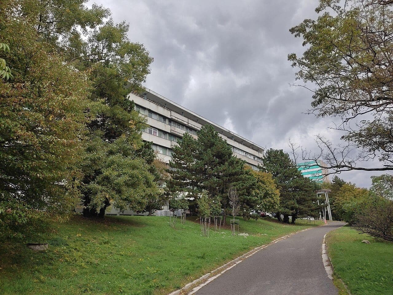 Faculty of Nursing and Medical Professional Studies — 4