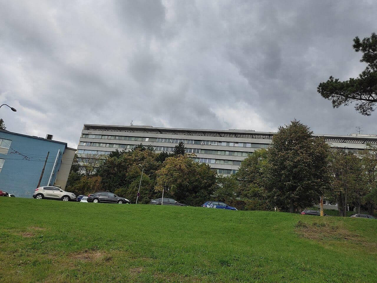 Faculty of Nursing and Medical Professional Studies — 6