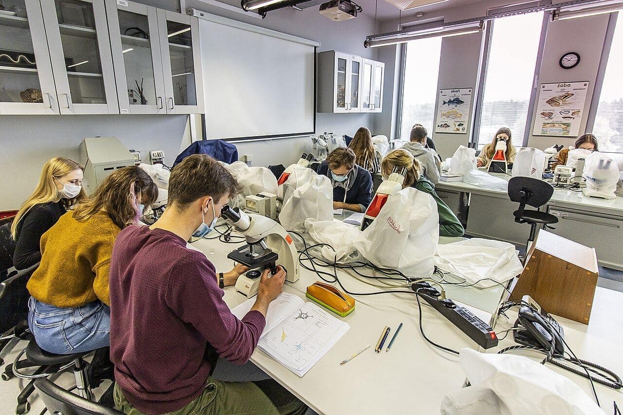 Warsaw School of Business and Applied Sciences — 2