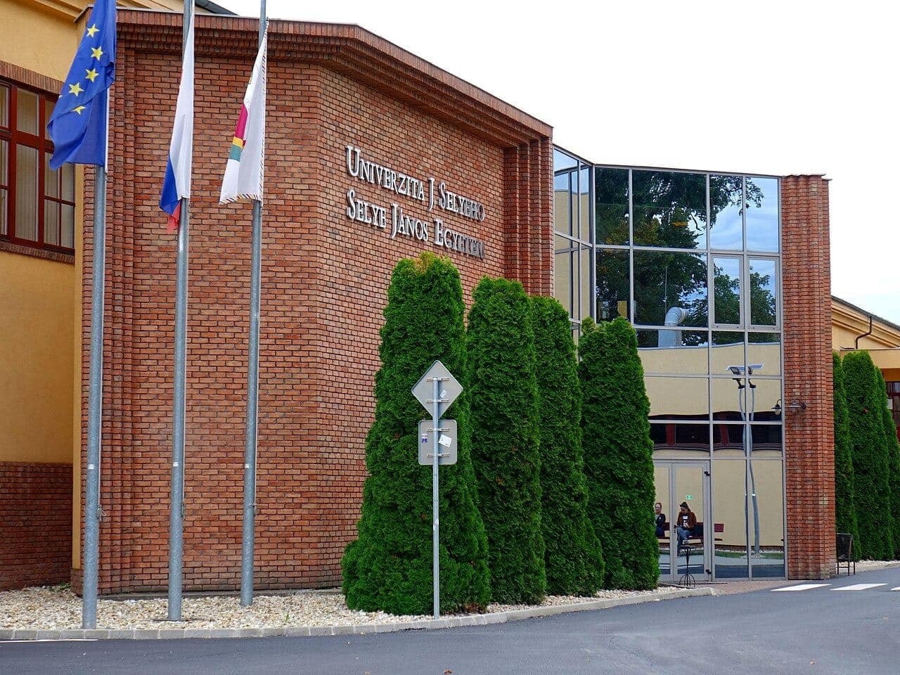 Faculty of Economics and Informatics — 3