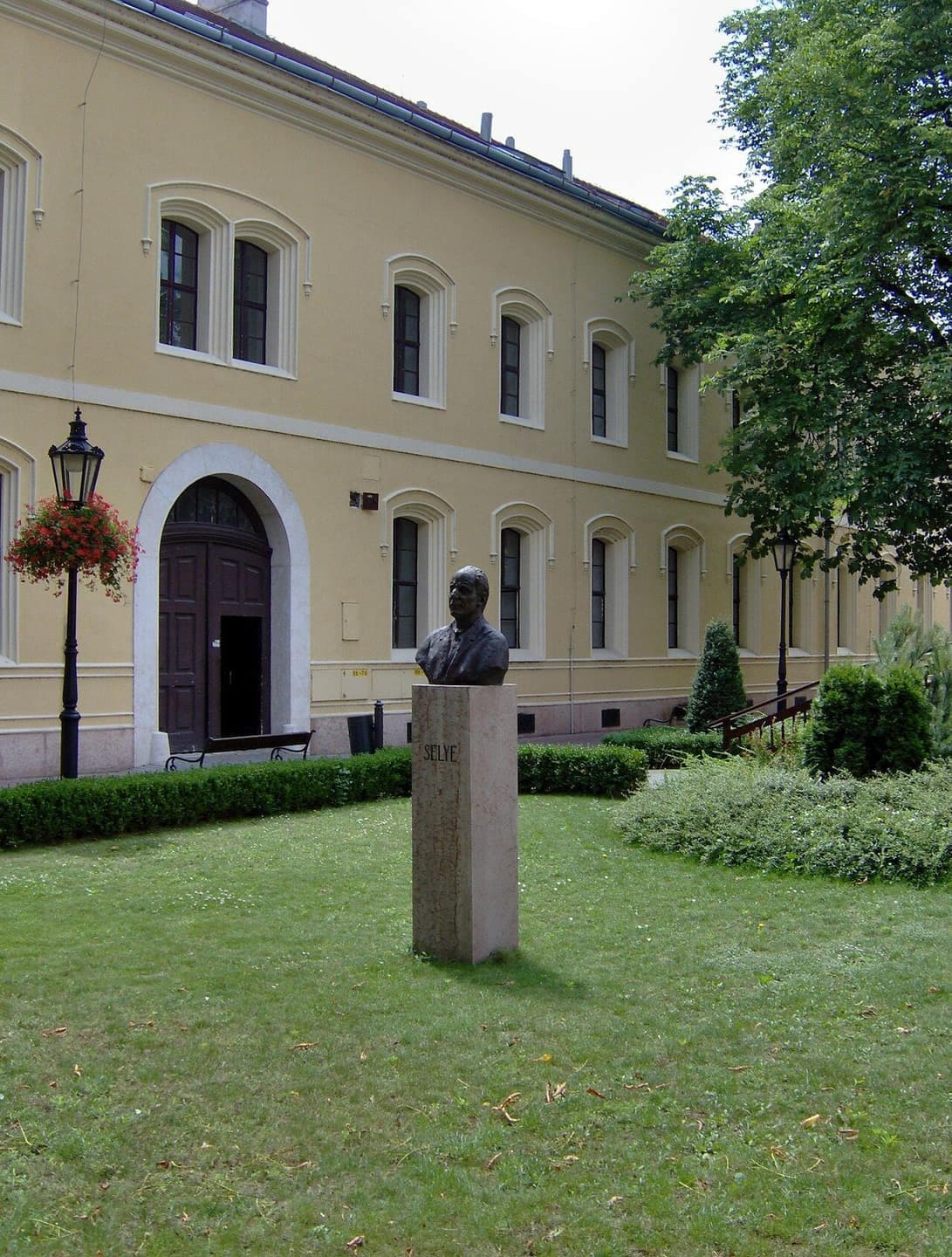 Faculty of Economics and Informatics — 8