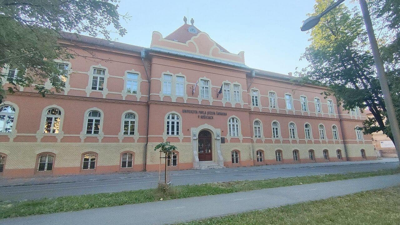 Law Faculty — 2