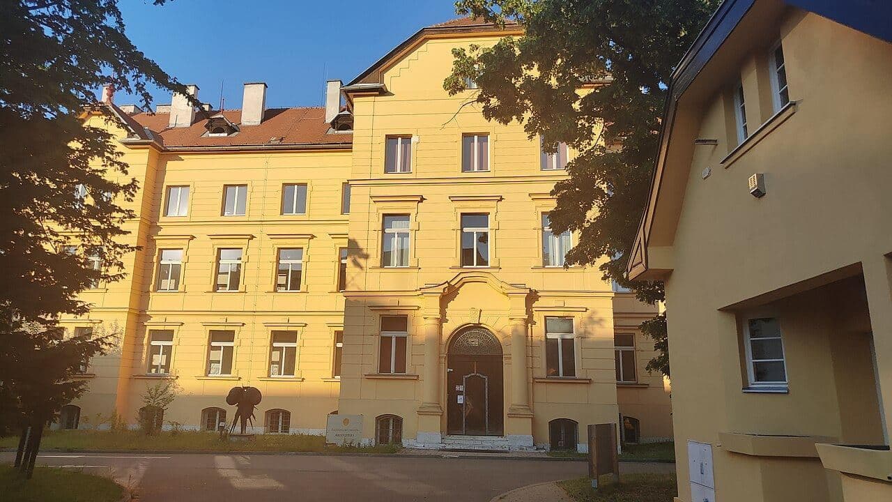 Law Faculty — 3