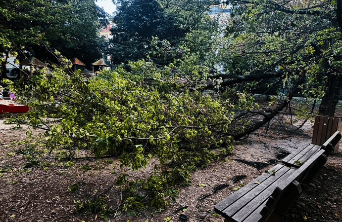 In Bratislava, three children were injured due to a falling tree on a playground.