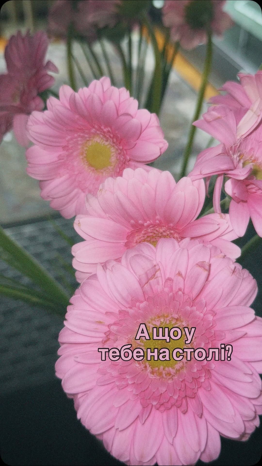 Дарья Короткая