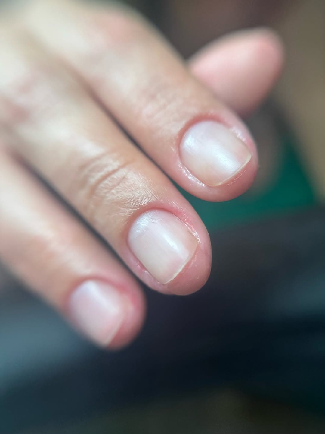 Nails ยท Brows ยท Lashes
