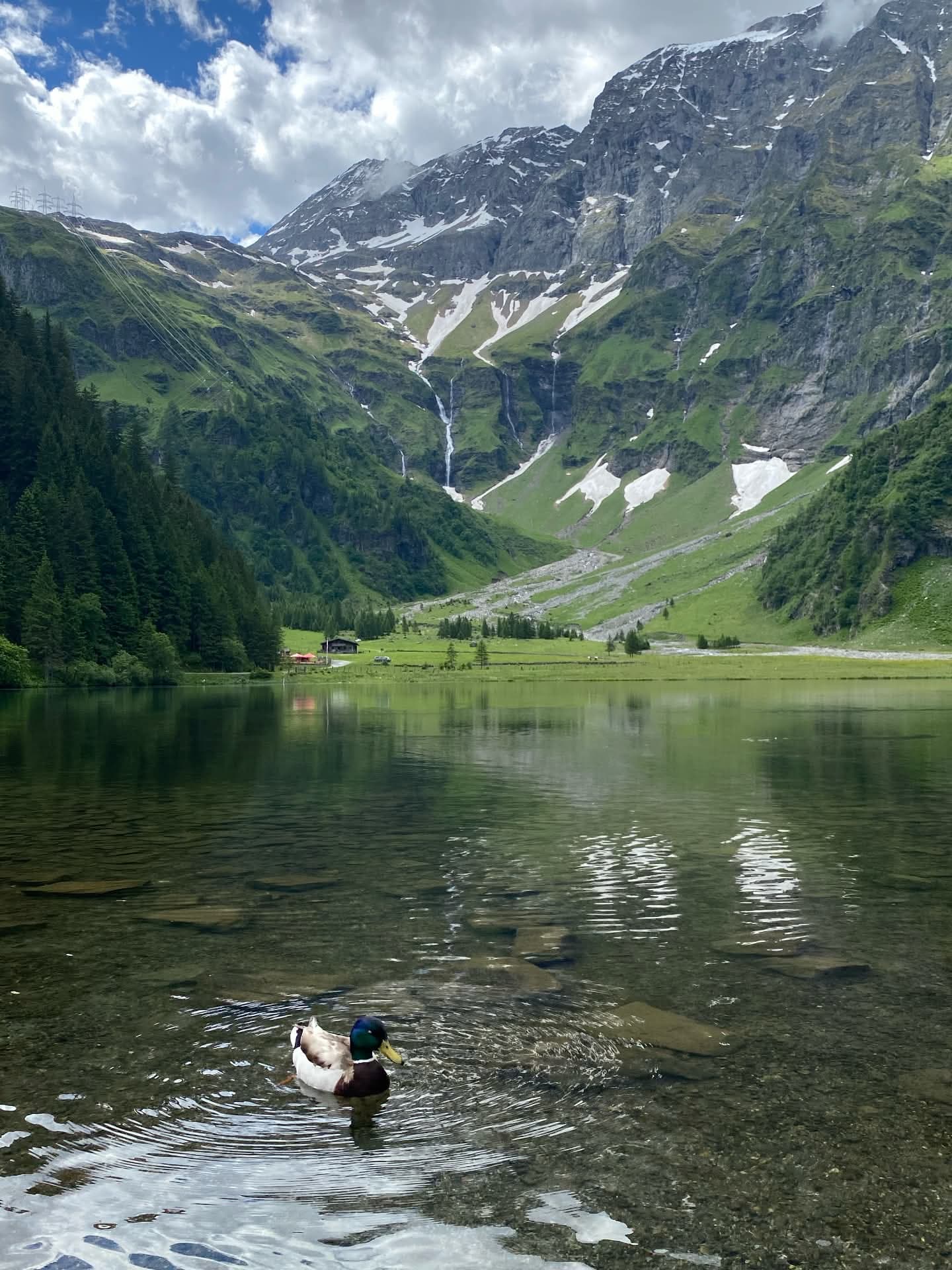 Поїздки в гори