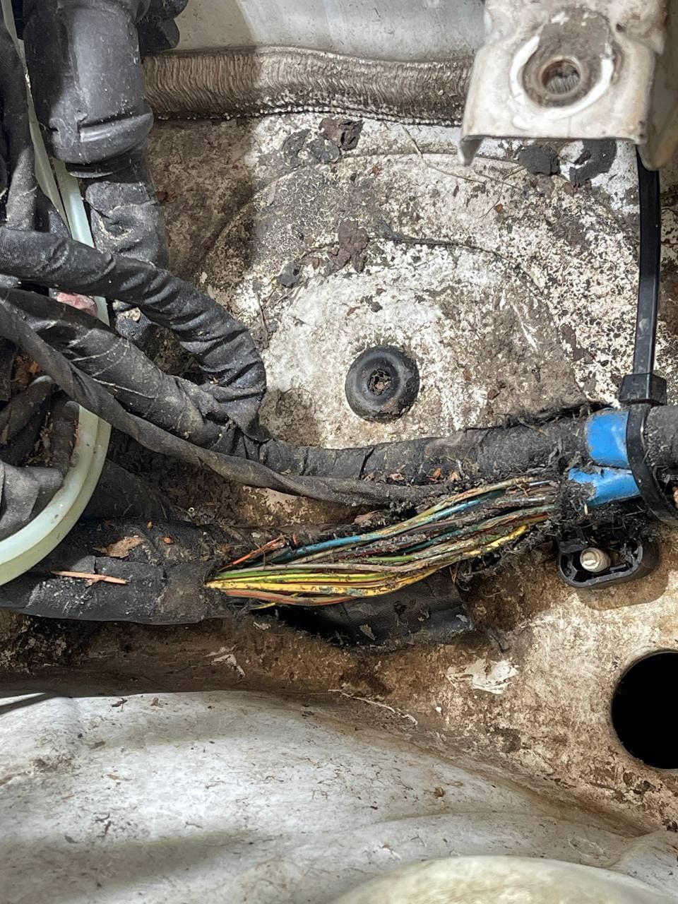 vex autoservis